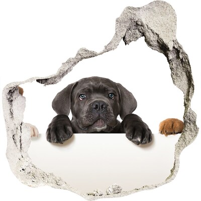 3d lyuk fal dekoráció Édes kiskutya a fal mögül