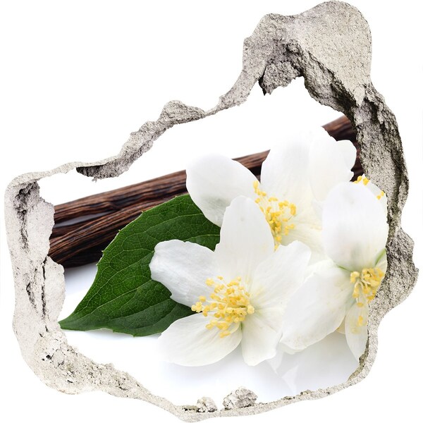 3d lyuk fal dekoráció Jázmin virágok betonban