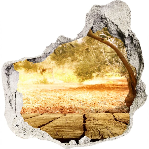 3d lyuk fal dekoráció Kert a napsütésben