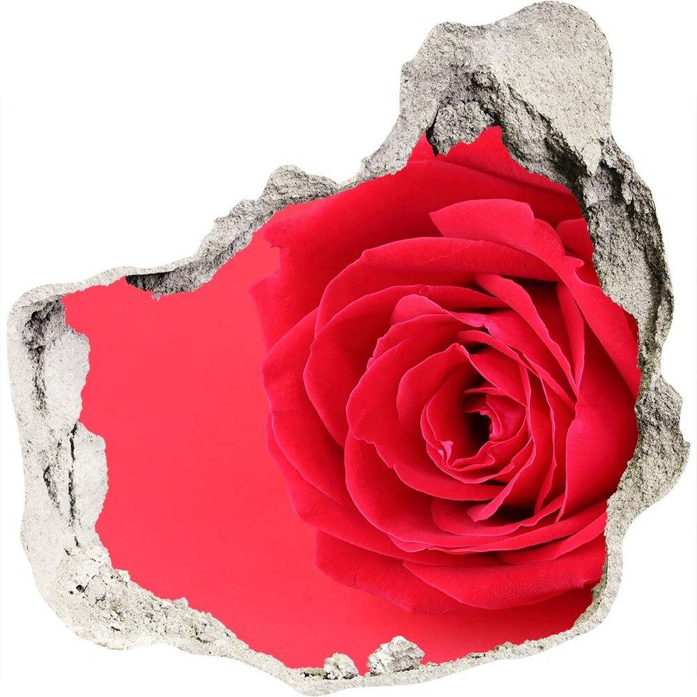 3d lyuk fal dekoráció Vörös rózsa