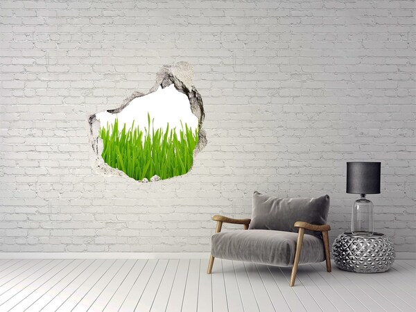 3d lyuk fal dekoráció Fű