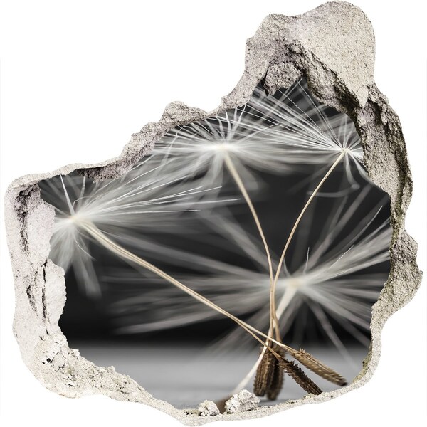 3d lyuk fal dekoráció Pitypang virágok betonban