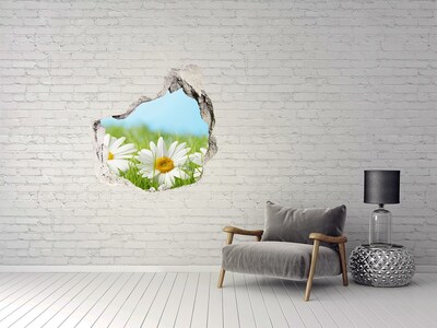 3d lyuk fal dekoráció Virágok egy zöld réten