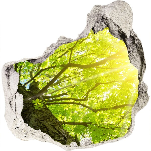 3d lyuk fal dekoráció Zöld erdő a nap sugaraiban