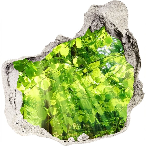 3d lyuk fal dekoráció Zöld erdő a nap sugaraiban