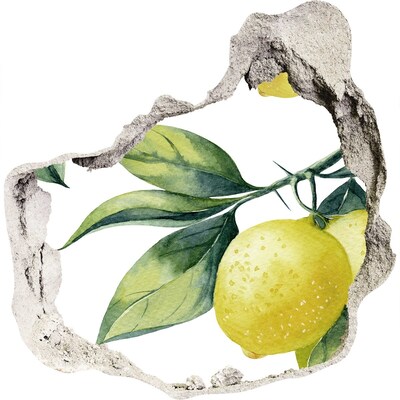 3d lyuk fal dekoráció Citromkert