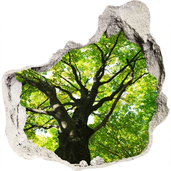 3d lyuk fal dekoráció Zöld erdő egy lyukban a falban