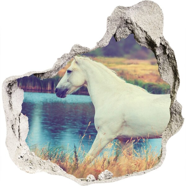 3d lyuk fal dekoráció White horse-tó