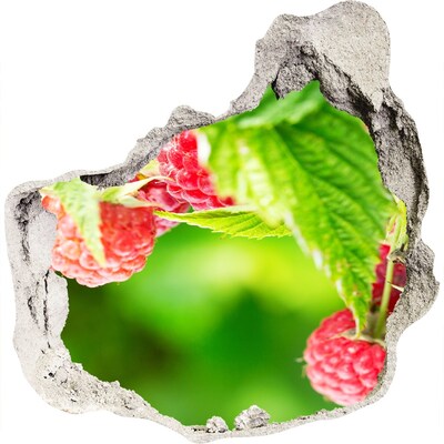 3d fali matrica lyuk a falban Málna a kertben