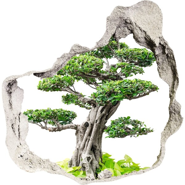 3d fali matrica lyuk a falban Bonsai fa