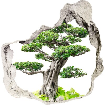3d fali matrica lyuk a falban Bonsai egy lyukban a falban
