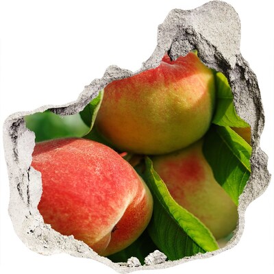 3d fali matrica lyuk a falban Almáskert