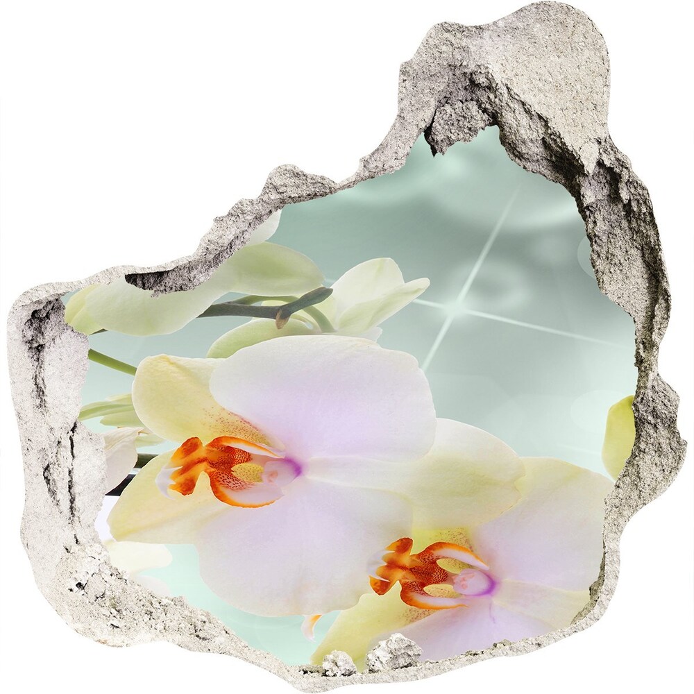 3d fali matrica lyuk a falban Fehér orchidea