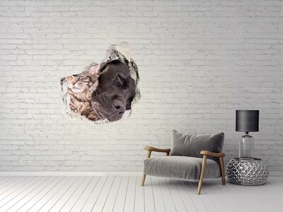 3d fali matrica lyuk a falban Egy édes pillanat a barátságból