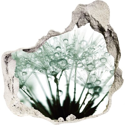 3d fali matrica lyuk a falban Virágos álom a fal mögött