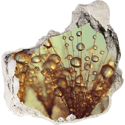 3d fali matrica lyuk a falban Cseppek a finom szőrszálakra