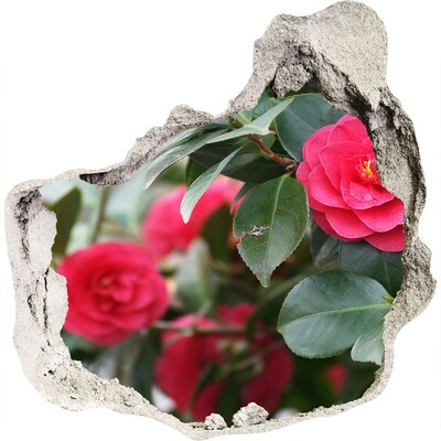 3d fali matrica lyuk a falban Virágoskert betonban