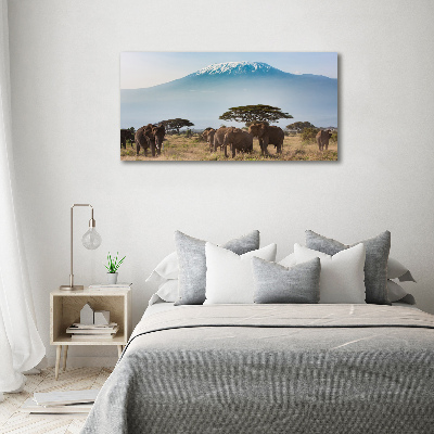 Akrilkép Elefántok kilimandzsáró