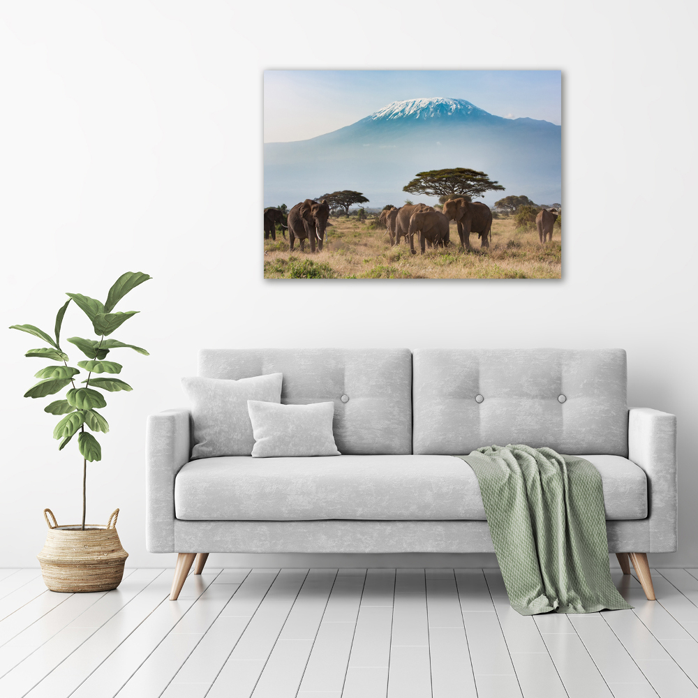 Akrilkép Elefántok kilimandzsáró