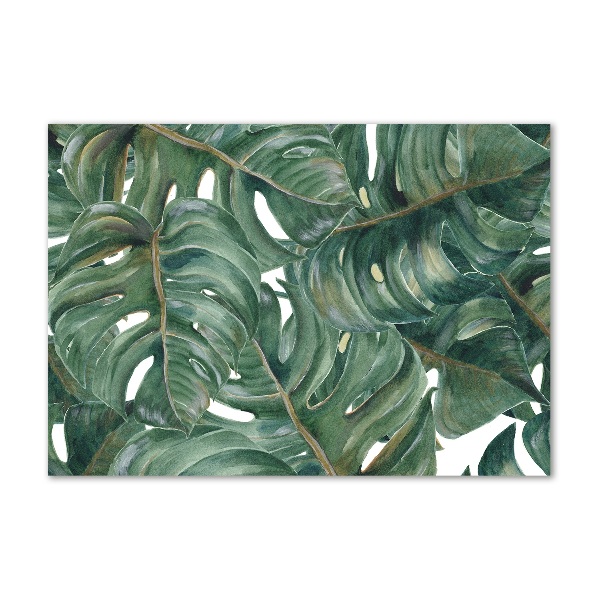 Akrilkép Monstera