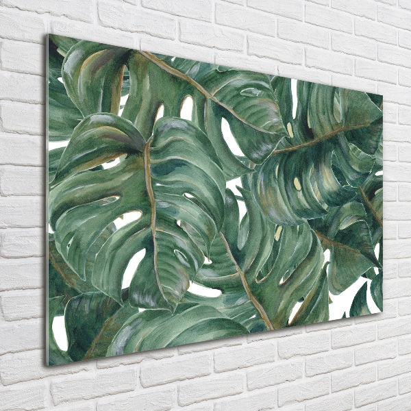 Akrilkép Monstera