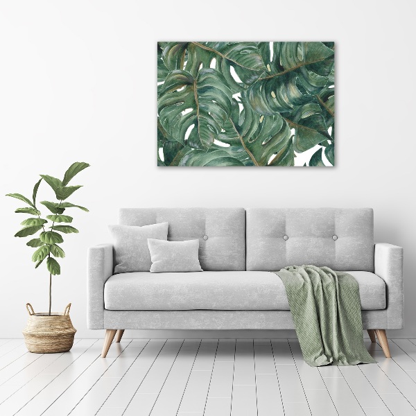 Akrilkép Monstera