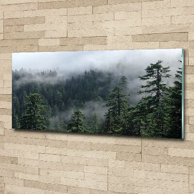 Akril üveg kép Erdő köd