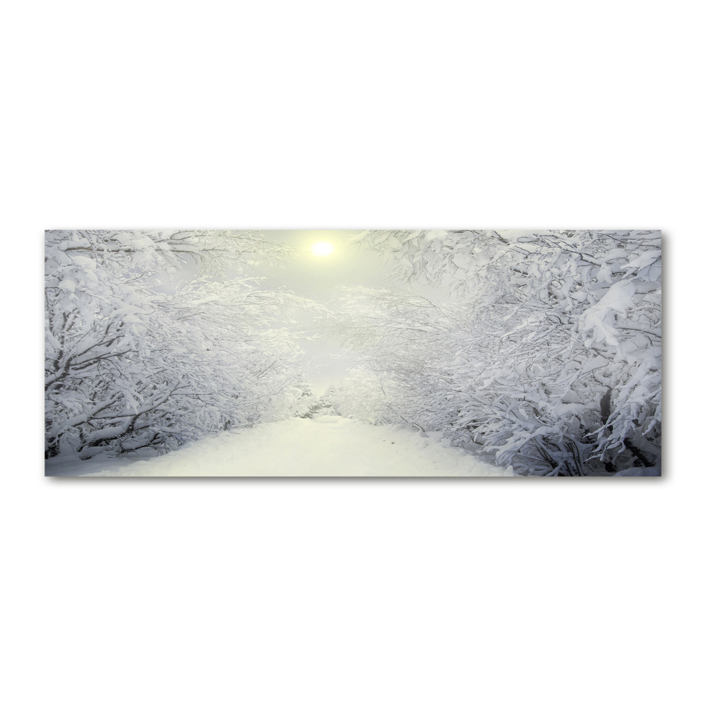 Akril üveg kép Gyönyörű téli erdőben