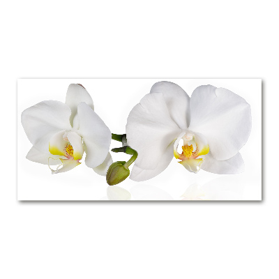 Akrilkép Orchidea