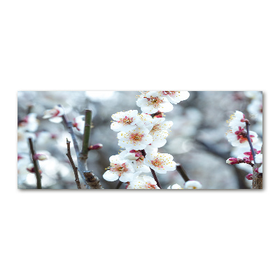 Akrilkép Cseresznye virágok