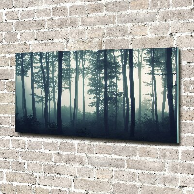 Akril üveg kép Forest a ködben