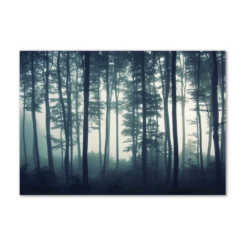 Akril üveg kép Forest a ködben