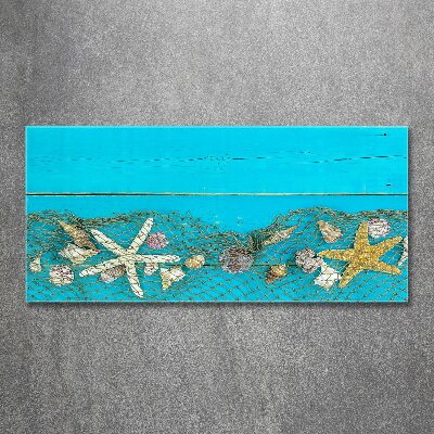 Akrilüveg fotó Starfish és kagylók