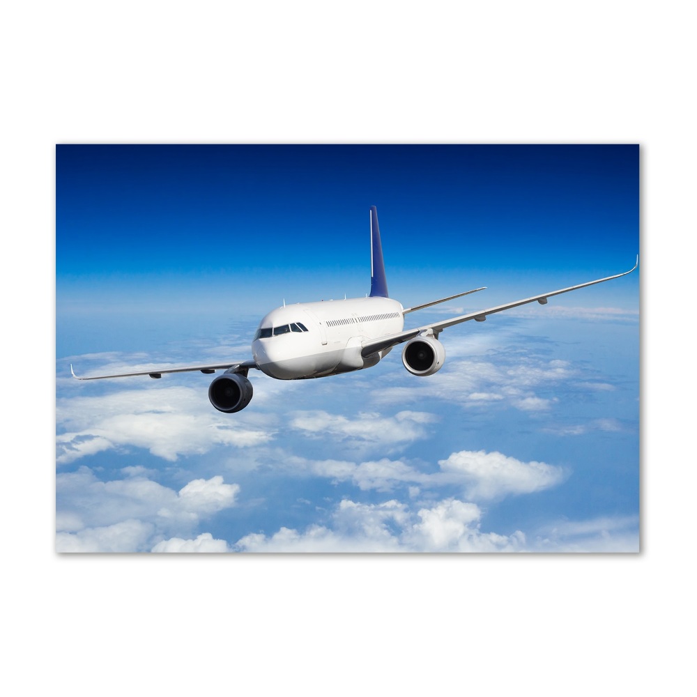 Akrilüveg fotó Plane a levegőben