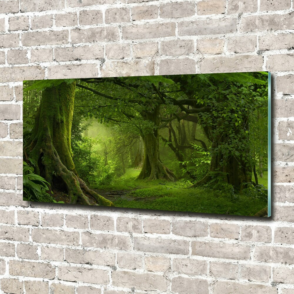 Akril üveg kép Trópusi dzsungel