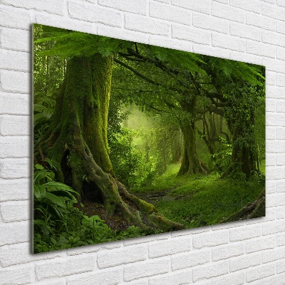 Akril üveg kép Trópusi dzsungel