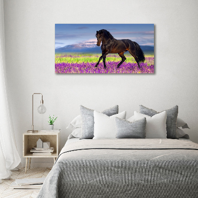 Akrilkép A ló egy levendula mező