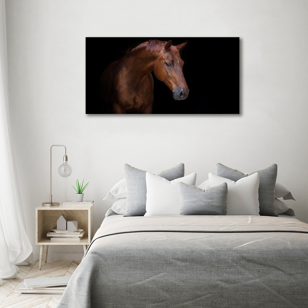 Akrilkép Barna ló