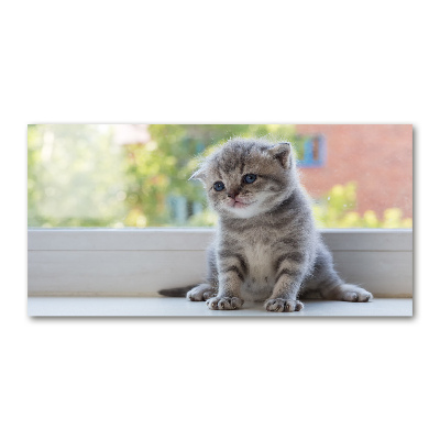Akrilkép Kis macska az ablakban