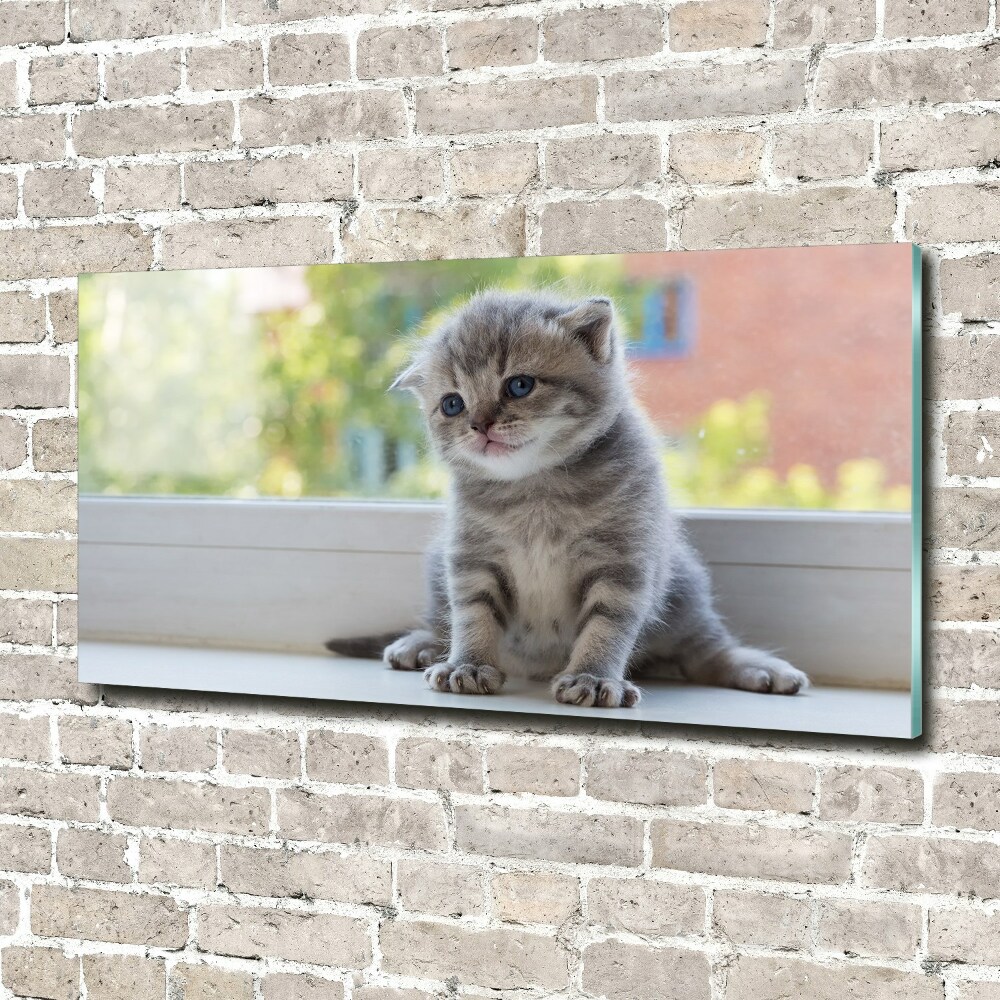 Akrilkép Kis macska az ablakban