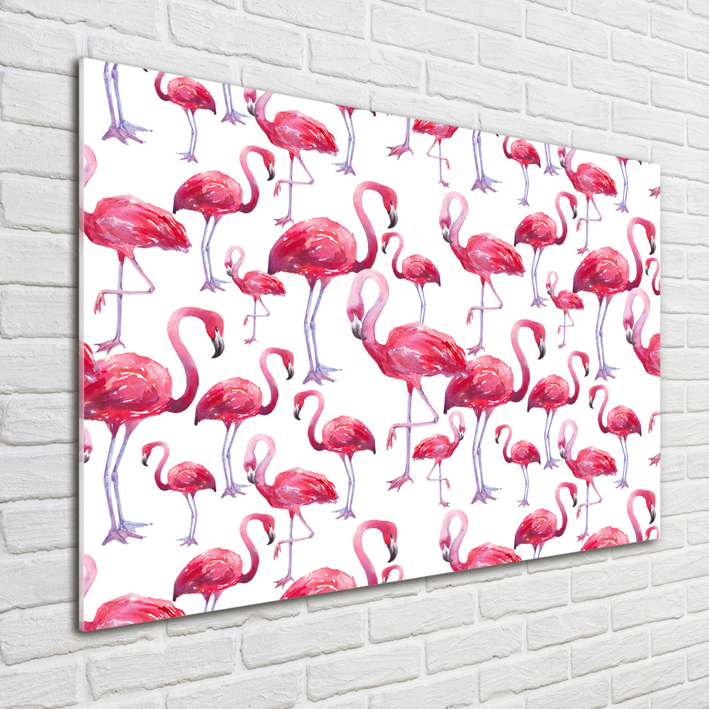 Akrilkép Flamingók