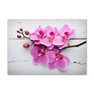 Akrilkép Orchid a fán