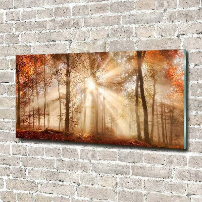 Akril üveg kép Köd az erdőben ősszel
