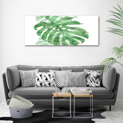 Akrilkép Monstera