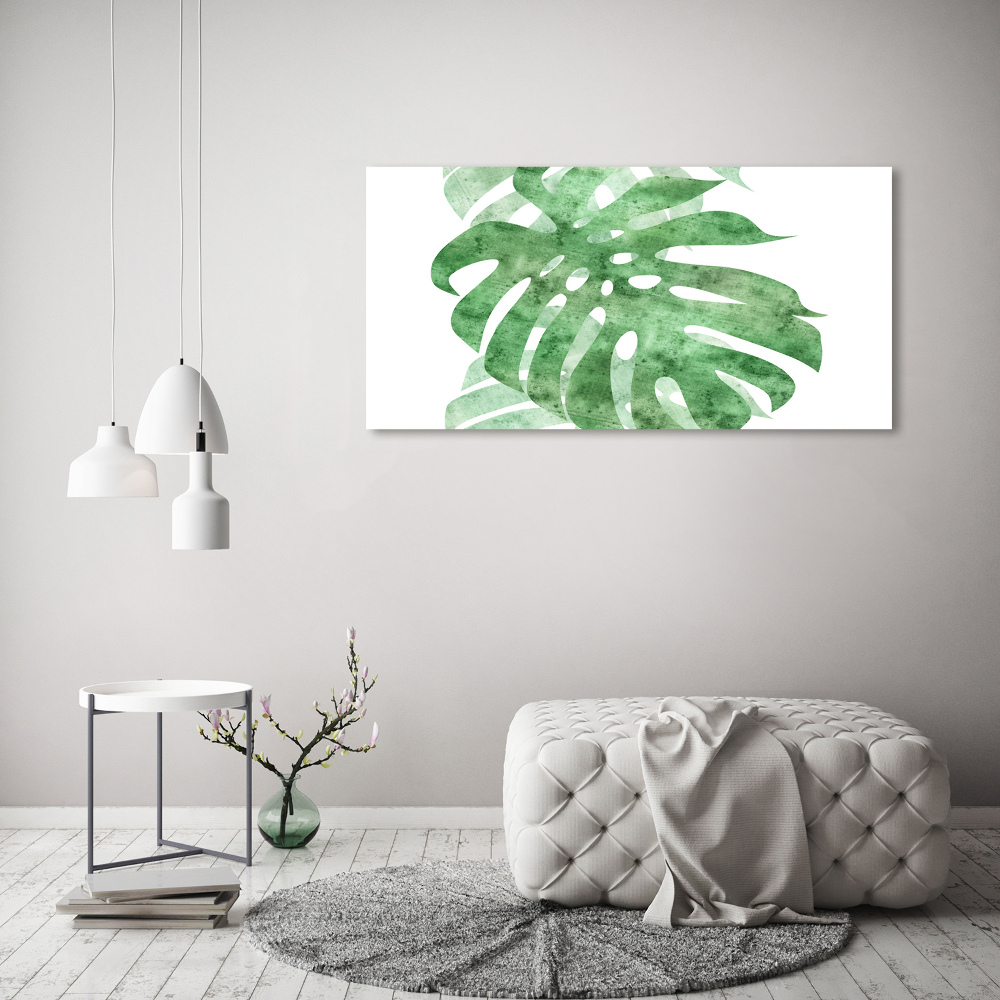 Akrilkép Monstera