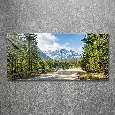 Akril üveg kép Road tatry