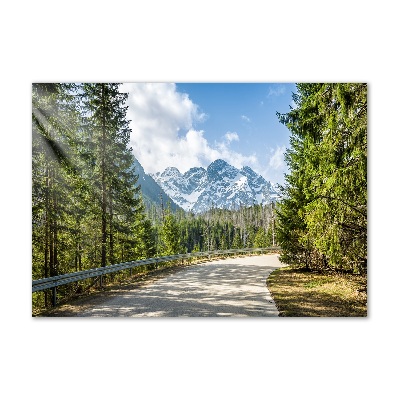 Akril üveg kép Road tatry