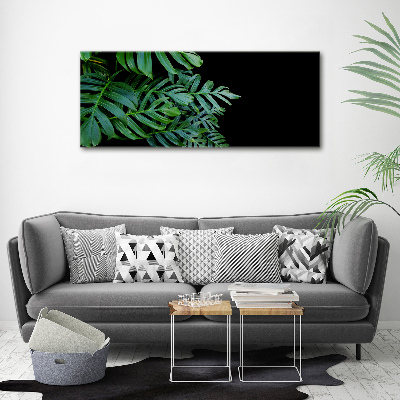 Akrilkép Monstera