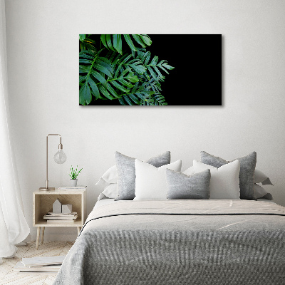 Akrilkép Monstera