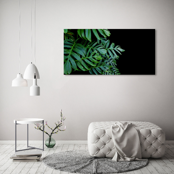 Akrilkép Monstera